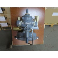 Fisher™1098-EGR系列